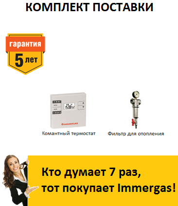 фото Газовый котёл Immergas NIKE Mini x 24 3E